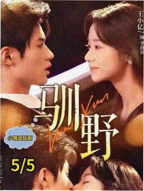雾港旧事剧集封面