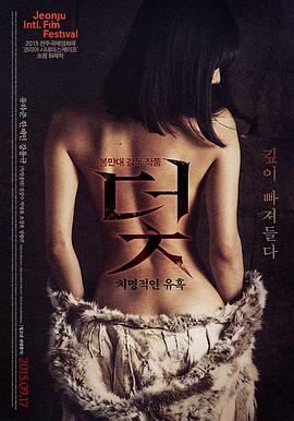 黑胶与蝉鸣封面